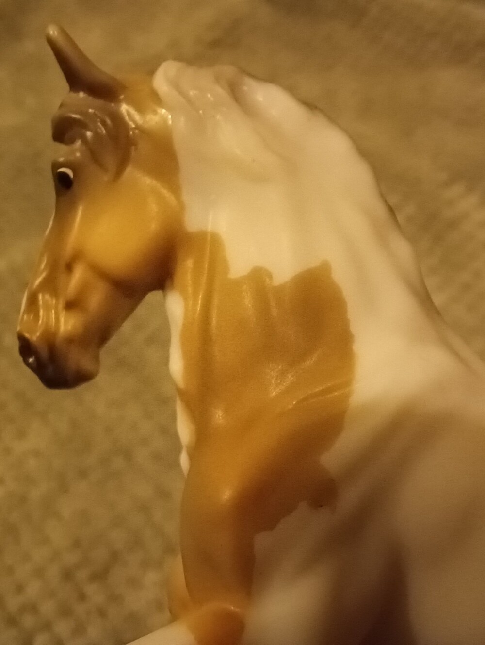 Breyer Spaetzle - Picture 8 of 16